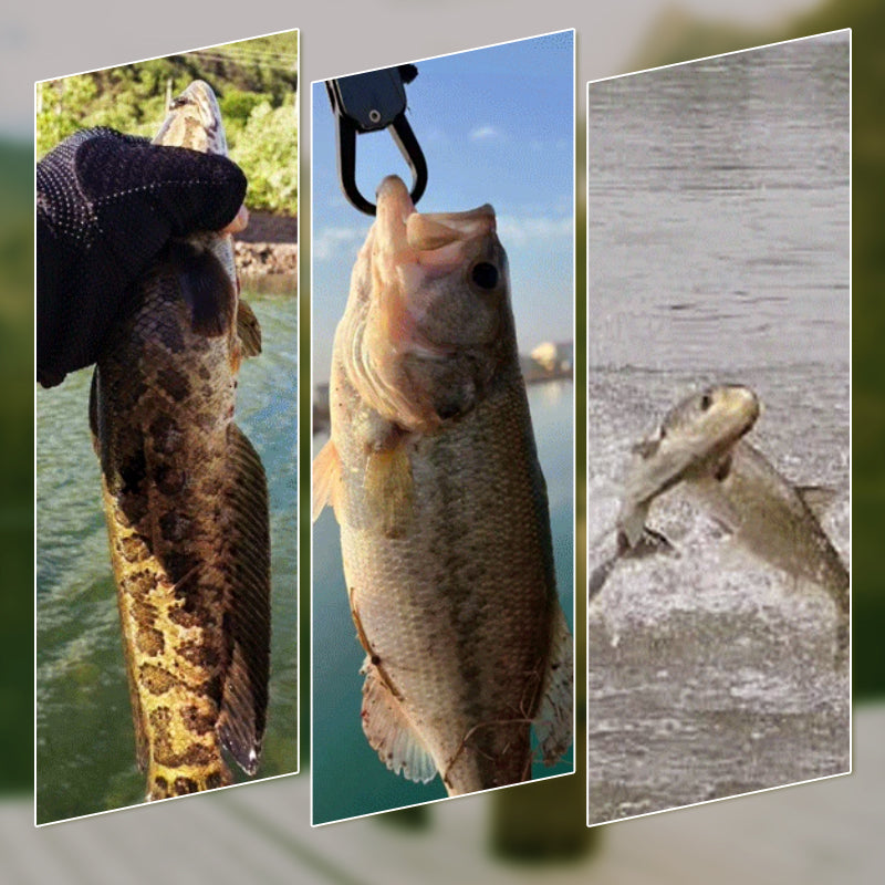 đŁ "S-Form JĂ€rnplatta â FĂ„nga Fisk Varje Kast! đŁđ„"