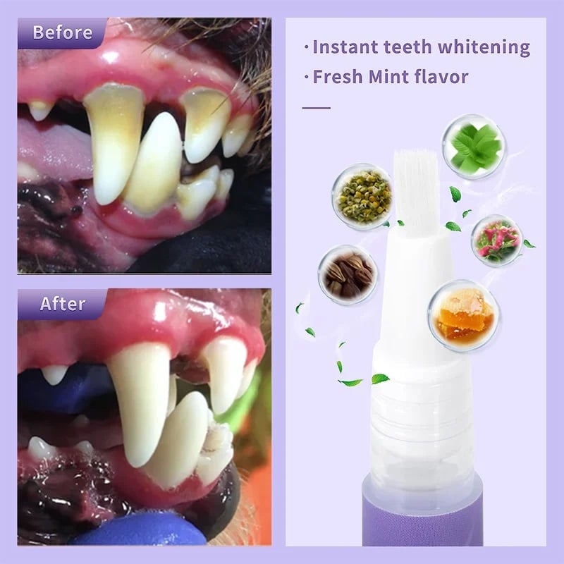 đ„KĂP 1 FĂ
1 GRATISđ„Pet Oral Repair Gel-tandborste đ±đ¶