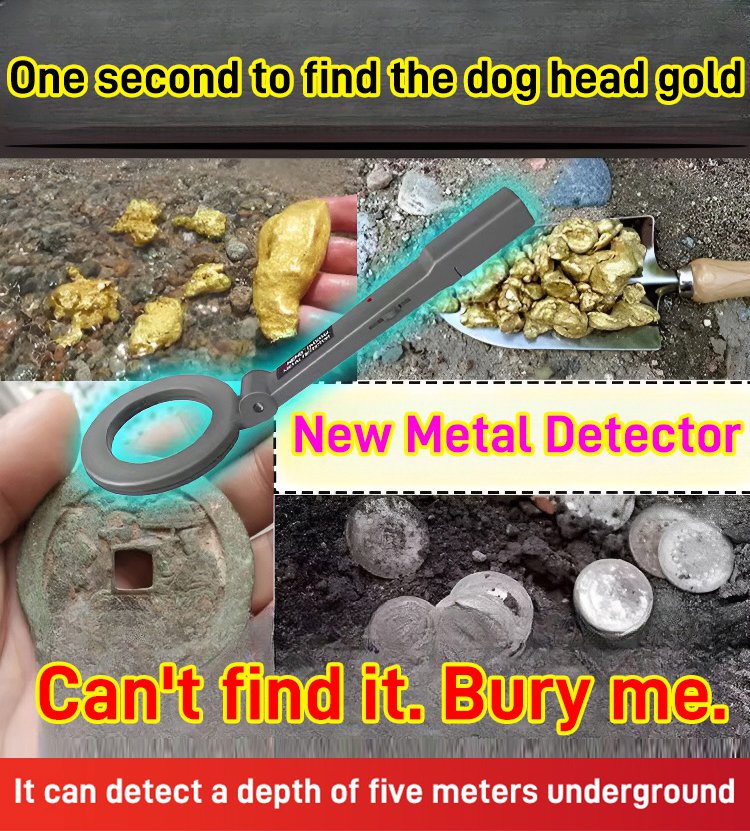 đ€©âšâ
HögkÀnslig metalldetektor