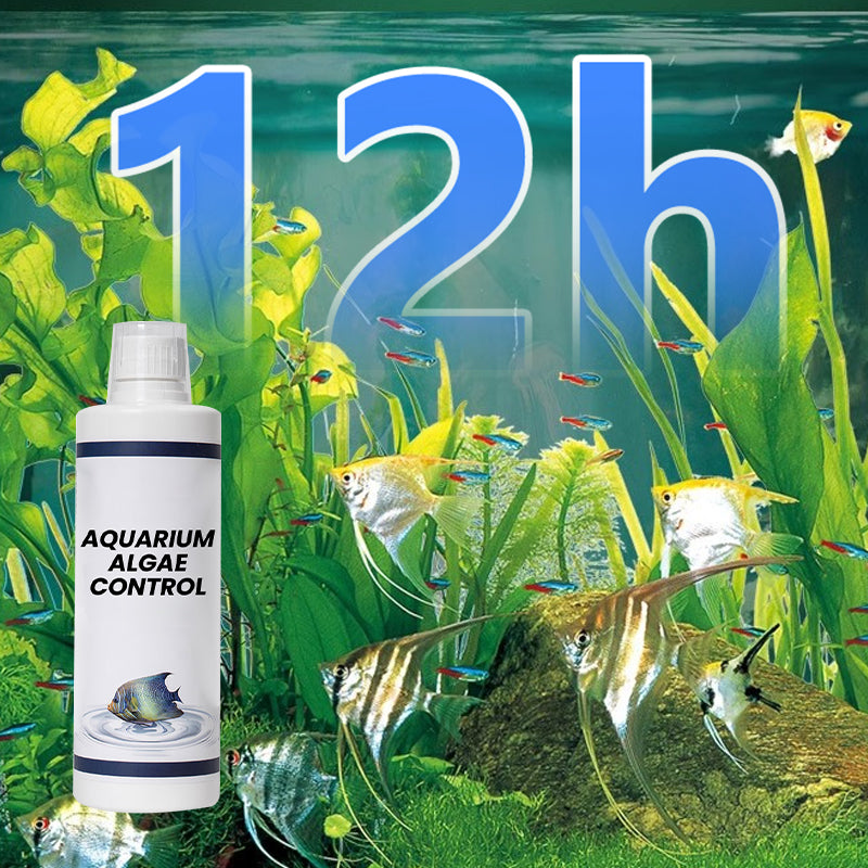 đ„ Hot försĂ€ljning đ„ Kraftfull akvarium vattenklarare