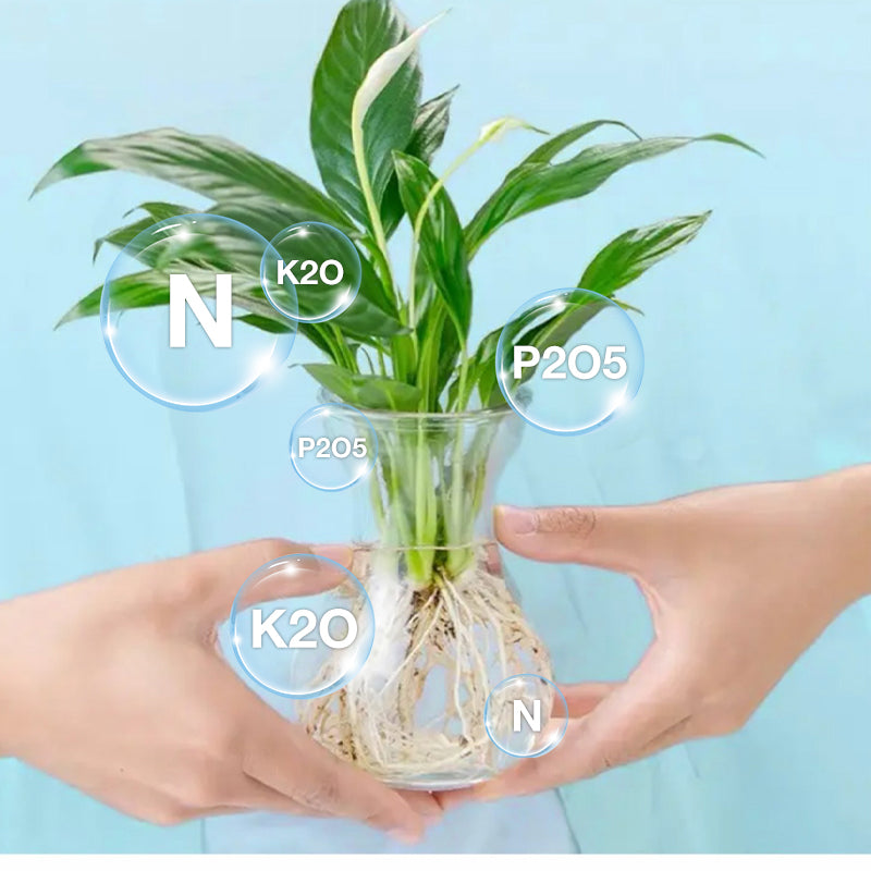 đ„Hydroponisk nĂ€ringslösning för vĂ€xttillvĂ€xt