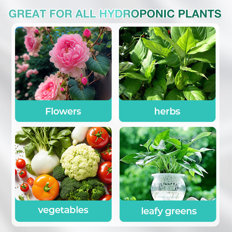đ„Hydroponisk nĂ€ringslösning för vĂ€xttillvĂ€xt