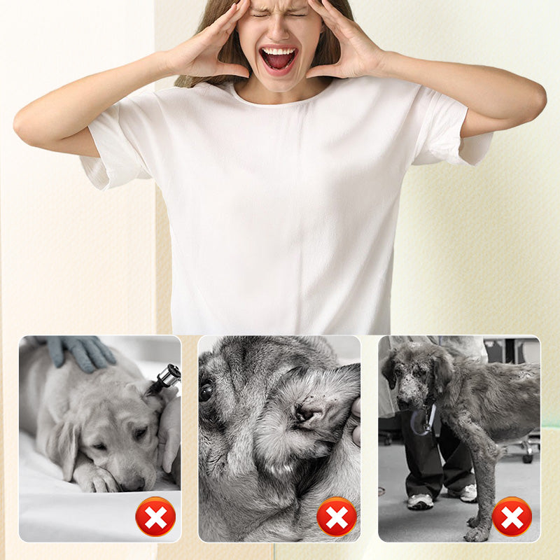 đ„KĂP 1 FĂ
1 GRATISđ„Flea & fĂ€stingavvisande spray för katter och hundar