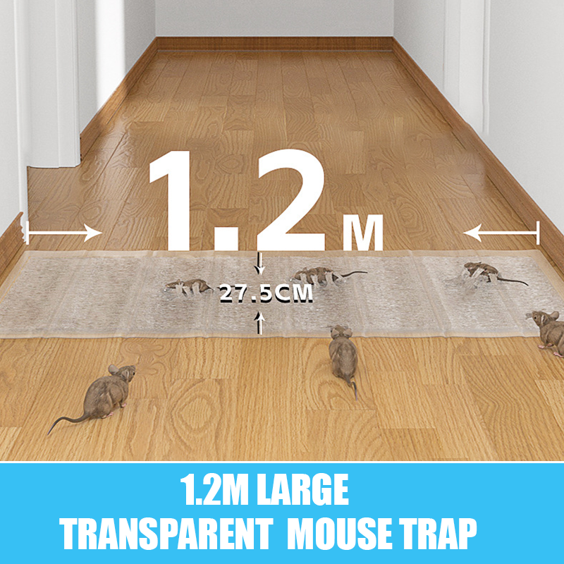 đ„1.2 m stor transparent musfĂ€lla