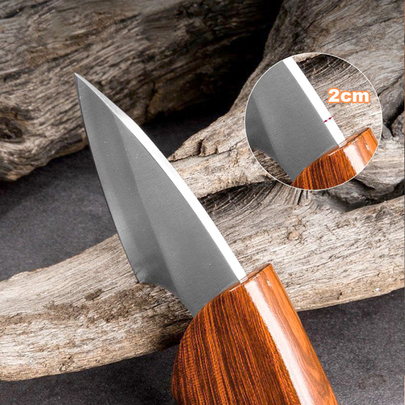 Delfinformad liten kniv i massivt trä