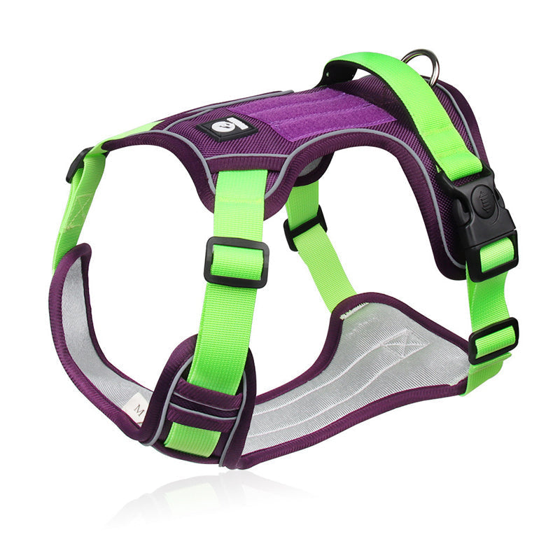 🐕 50% RABATT! 🔦 Dragfri Hundsele med Koppel & LED-halsband – Lindrar Tryck, Mjukt Nylon & Perfekt För Nattliga Promenader Och Träning 🌙