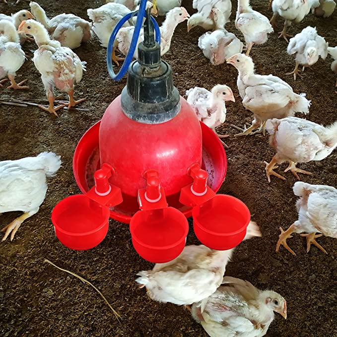 🐔50% RABATT⏰ Automatisk vattenkopp för kyckling, håller vatten rent och fräscht för hälsosam uppfödning💧