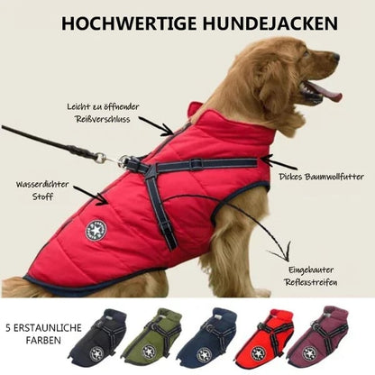 🔥🎁Nyhet 50 % RABATT🔥🐾Vattentät vinterjacka för hund med inbyggd sele