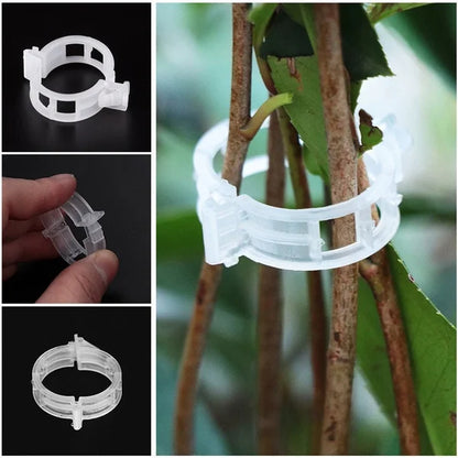 🗜️Klips för klätterväxter – Plastband för tomater och växtfästen 🌱🍅