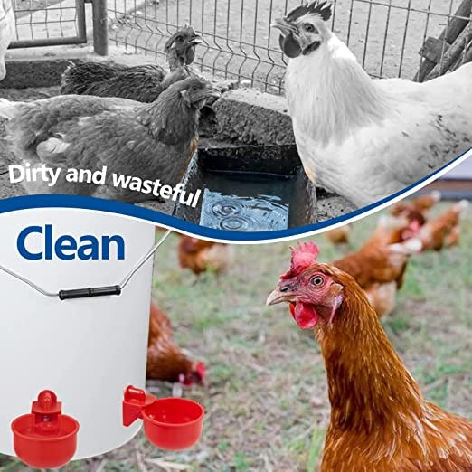 🐔50% RABATT⏰ Automatisk vattenkopp för kyckling, håller vatten rent och fräscht för hälsosam uppfödning💧