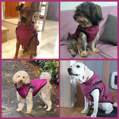 🔥🎁Nyhet 50 % RABATT🔥🐾Vattentät vinterjacka för hund med inbyggd sele