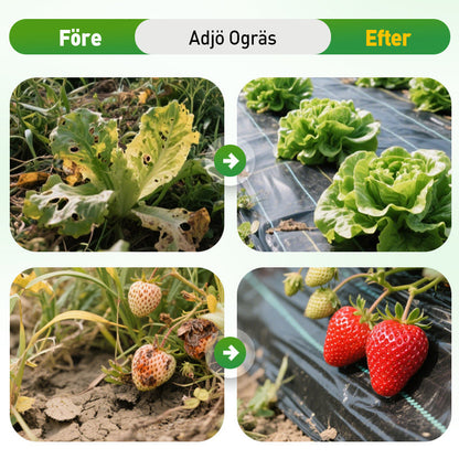 🔥Sista dagen 50% rabatt - Premium ogräsbarriärtyg