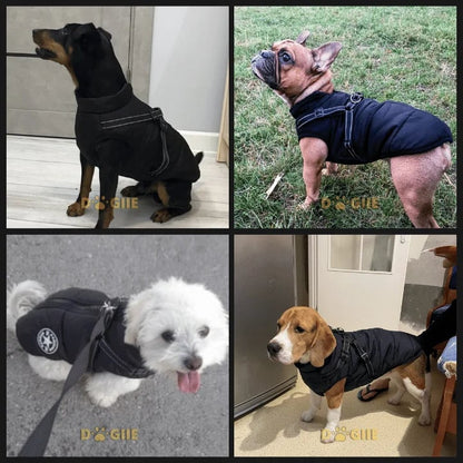 🔥🎁Nyhet 50 % RABATT🔥🐾Vattentät vinterjacka för hund med inbyggd sele