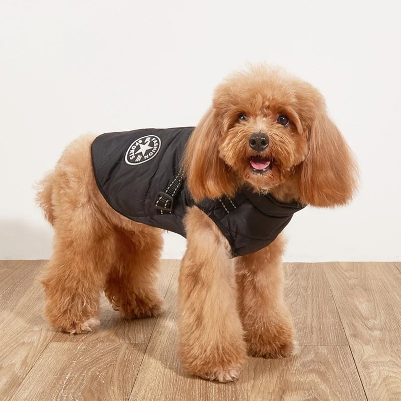 🔥🎁Nyhet 50 % RABATT🔥🐾Vattentät vinterjacka för hund med inbyggd sele