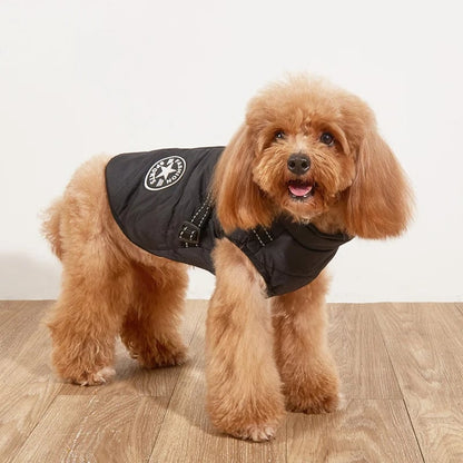 🔥🎁Nyhet 50 % RABATT🔥🐾Vattentät vinterjacka för hund med inbyggd sele