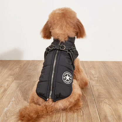 🔥🎁Nyhet 50 % RABATT🔥🐾Vattentät vinterjacka för hund med inbyggd sele