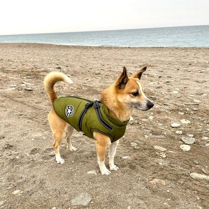 🔥🎁Nyhet 50 % RABATT🔥🐾Vattentät vinterjacka för hund med inbyggd sele