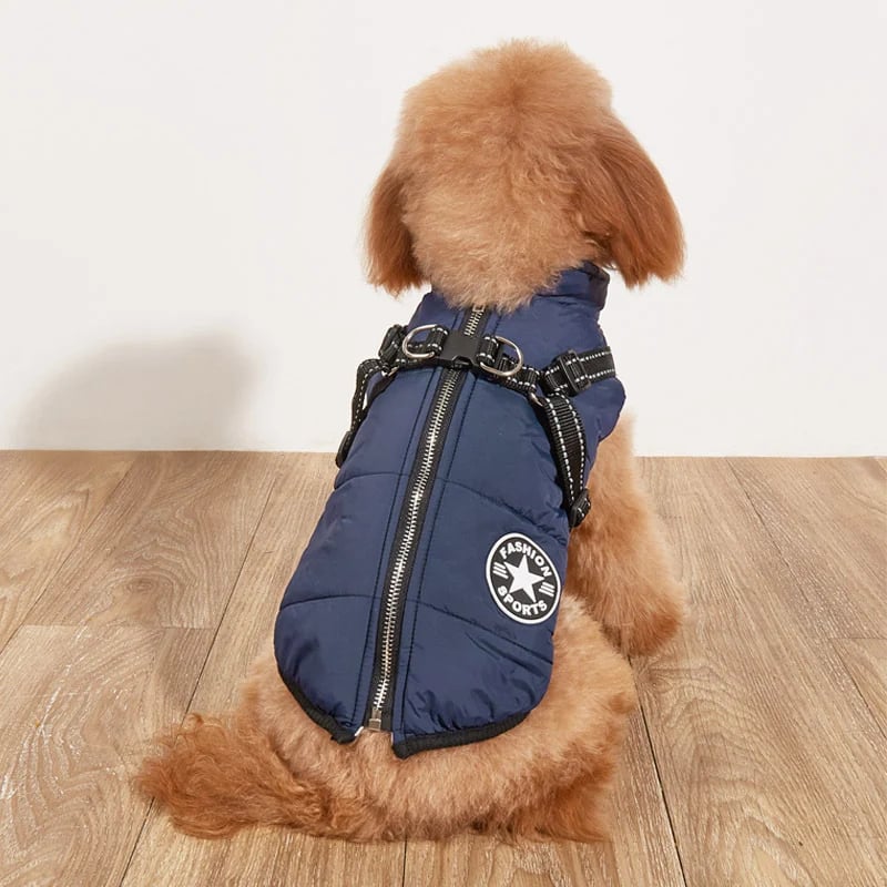 🔥🎁Nyhet 50 % RABATT🔥🐾Vattentät vinterjacka för hund med inbyggd sele
