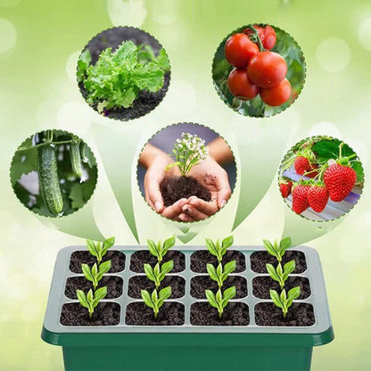💎60% RABATT! 💎 Groningsbrickor med odlingsljus – Fuktighetskontroll, transparent och fullspektrumljus 🌱💡