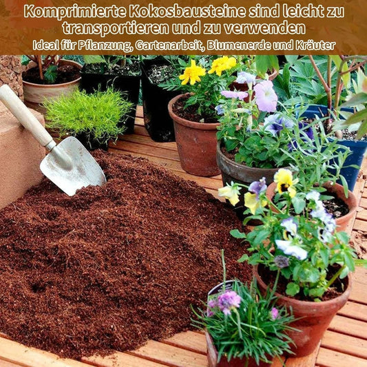 🔈🔈60% RABATT NU🥥Ekologisk kokosnöt för växter🌱