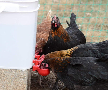 🐔50% RABATT⏰ Automatisk vattenkopp för kyckling, håller vatten rent och fräscht för hälsosam uppfödning💧