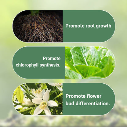 Plant Slow-release Stick Organic Fertilizer