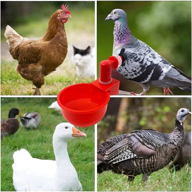 🐔50% RABATT⏰ Automatisk vattenkopp för kyckling, håller vatten rent och fräscht för hälsosam uppfödning💧