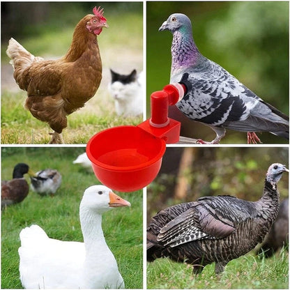 🐔50% RABATT⏰ Automatisk vattenkopp för kyckling, håller vatten rent och fräscht för hälsosam uppfödning💧