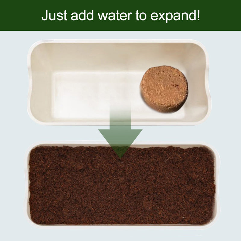 🌱 Organisk kokosnöt för växter
