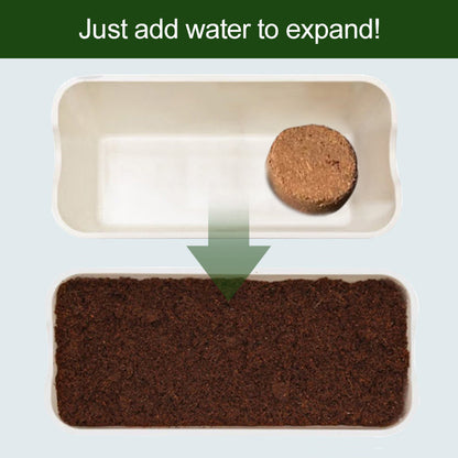 🌱 Organisk kokosnöt för växter