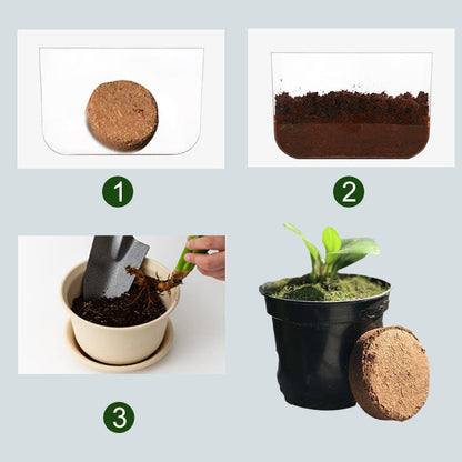 🌱 Organisk kokosnöt för växter