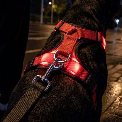 Justerbar LED-Hundsele Lysande Blinkande Bröstsele för Husdjur