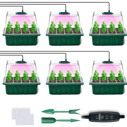 💎60% RABATT! 💎 Groningsbrickor med odlingsljus – Fuktighetskontroll, transparent och fullspektrumljus 🌱💡