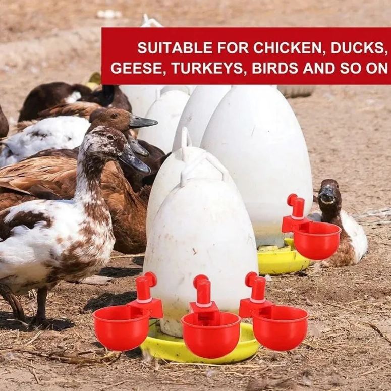 🐔50% RABATT⏰ Automatisk vattenkopp för kyckling, håller vatten rent och fräscht för hälsosam uppfödning💧