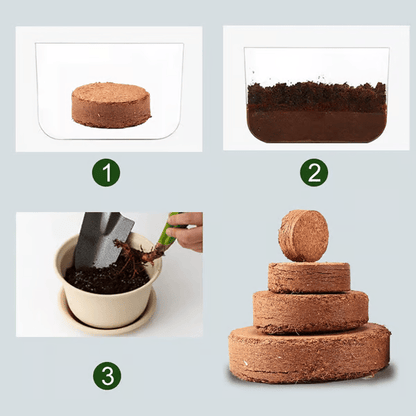 🔈🔈60% RABATT NU🥥Ekologisk kokosnöt för växter🌱