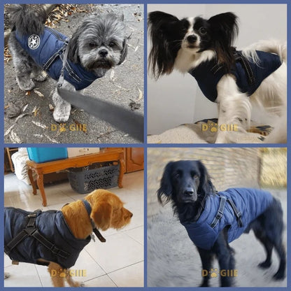 🔥🎁Nyhet 50 % RABATT🔥🐾Vattentät vinterjacka för hund med inbyggd sele