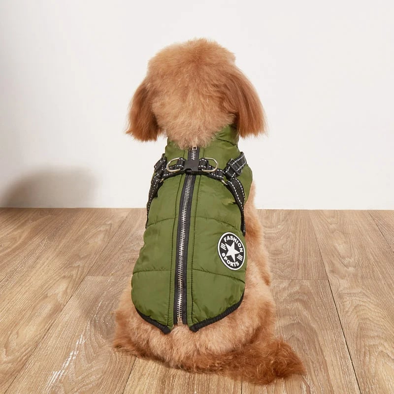 🔥🎁Nyhet 50 % RABATT🔥🐾Vattentät vinterjacka för hund med inbyggd sele