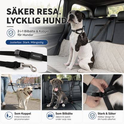 🛒 50% RABATT NU! 🐶 2-i-1 hundbilssäkerhetsbälte och promenadkoppel – Stabil & slitstark – Perfekt för bilresor och utomhuspromenader 🚗🌿