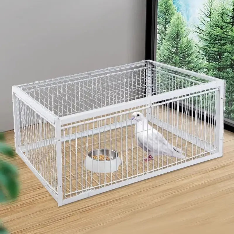 AutoTrap Bird Cage - Endast inträde, ingen utgång