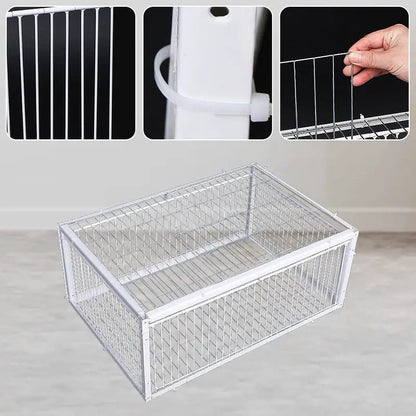 AutoTrap Bird Cage - Endast inträde, ingen utgång