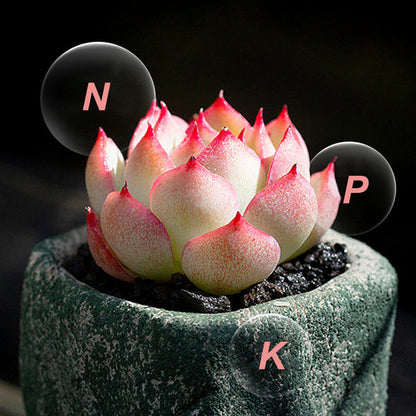 Stort specialerbjudande – 49 % rabatt💥Allsidig gödselmedel i tablettform med långsam frisättning för växter