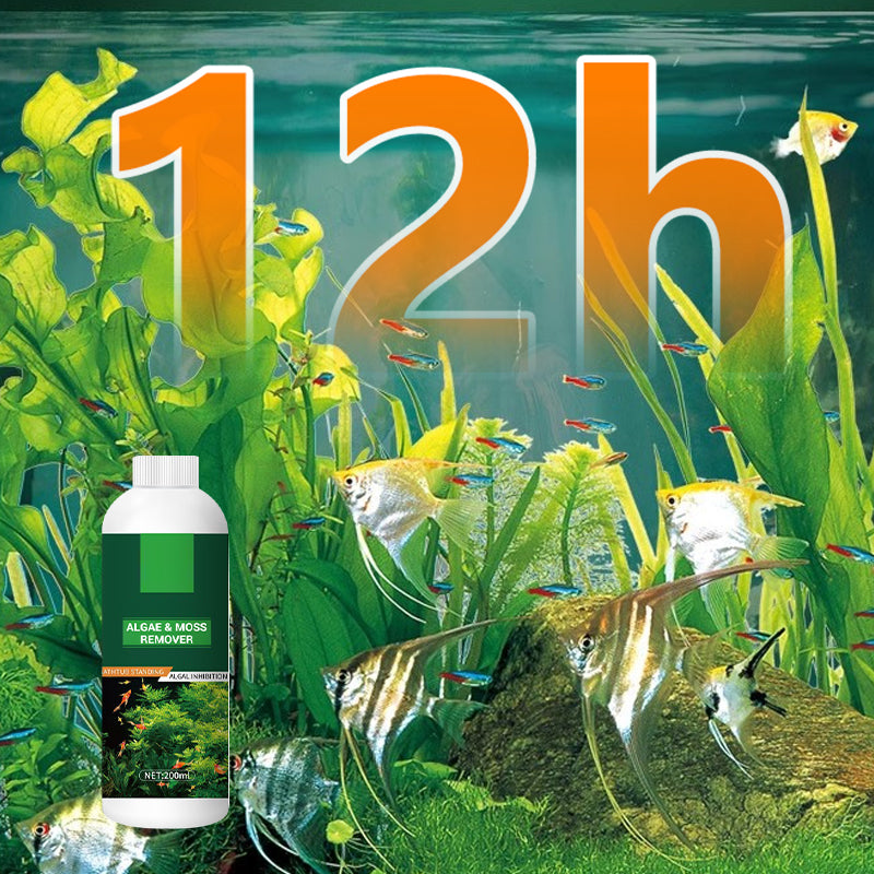 🎉Köp 2 få 1 gratis💥 Alg- och mossborttagningsmedel för akvarier och fiskdammar - säker vattenbehandling