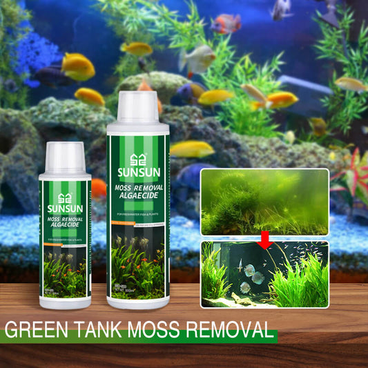 🔥Köp 2 få 1 gratis🔥Mossavlägsnare för akvarium