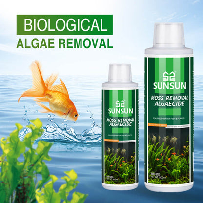 🔥Köp 2 få 1 gratis🔥Mossavlägsnare för akvarium