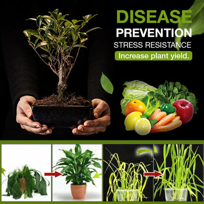 🔥🔥Topp 3 trädgårdshus🔥Jordaktivering Skattkammargruva