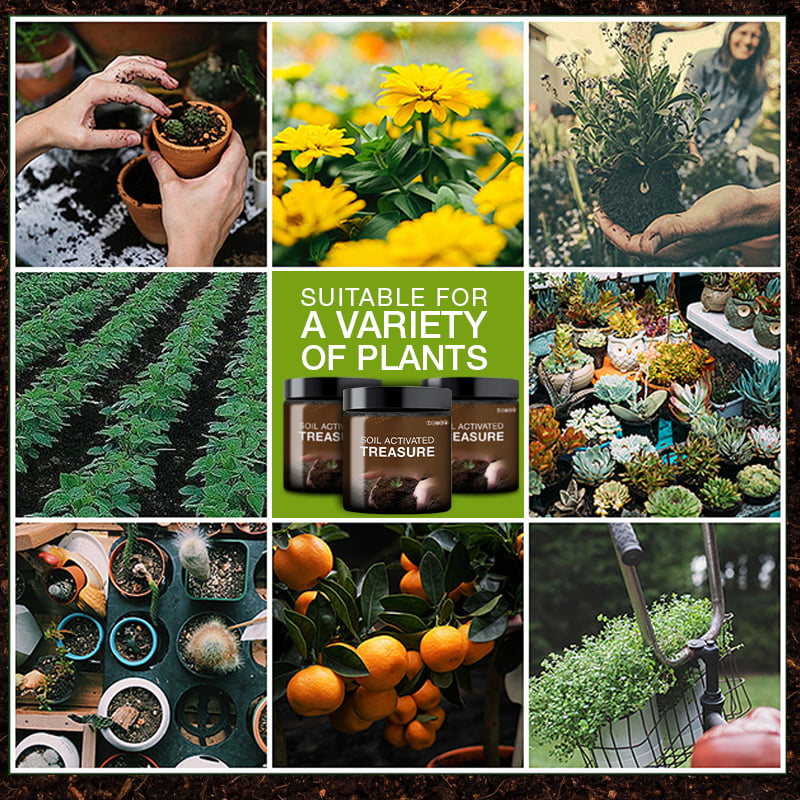 🔥🔥Topp 3 trädgårdshus🔥Jordaktivering Skattkammargruva