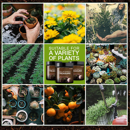 🔥🔥Topp 3 trädgårdshus🔥Jordaktivering Skattkammargruva