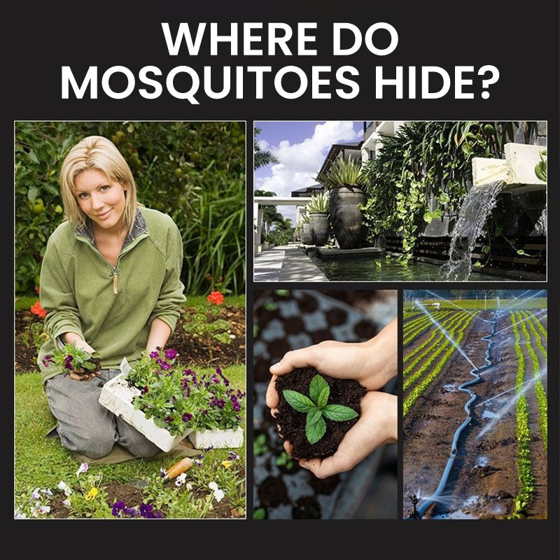 🌞🔥Solar insektsdödare med markspik - 50% rabatt endast idag! ⏳