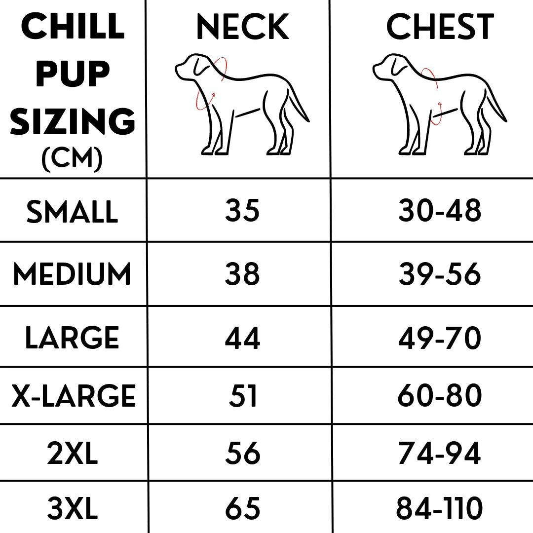🐶❄️ 50% RABATT | Kylande isväst för hundar – Hjälper din hund att hålla sig sval i sommar ☀️