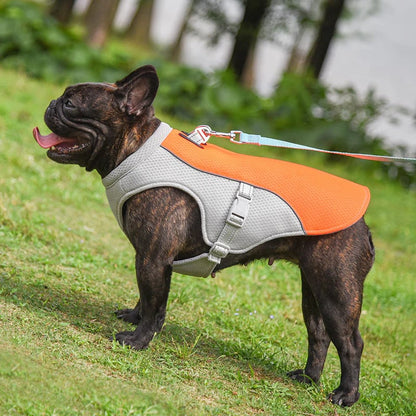 🐶❄️ 50% RABATT | Kylande isväst för hundar – Hjälper din hund att hålla sig sval i sommar ☀️